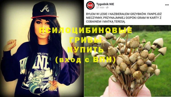 ECSTASY Волосово