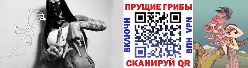 Псилоцибиновые грибы мицелий где найти наркотики Дятьково