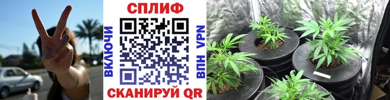 что такое наркотик  Дятьково  Шишки марихуана гибрид 